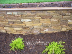 Golden Canadian Ledge Stone with Pre-Cast Concrete Cap